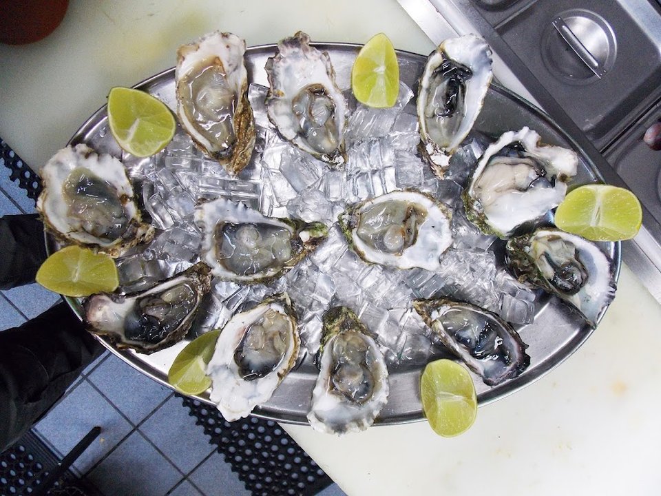 Oyster